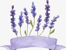 top 5 lavender perfumes in dubai